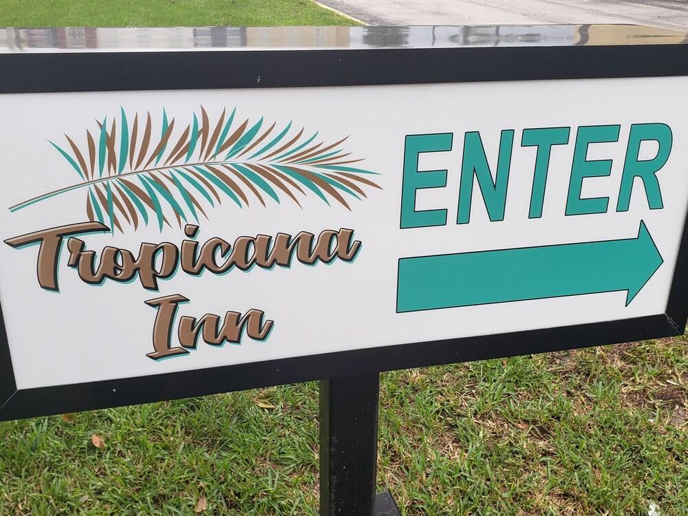 Quality Inn Saint Petersburg North-Tampa Bay Kültér fotó