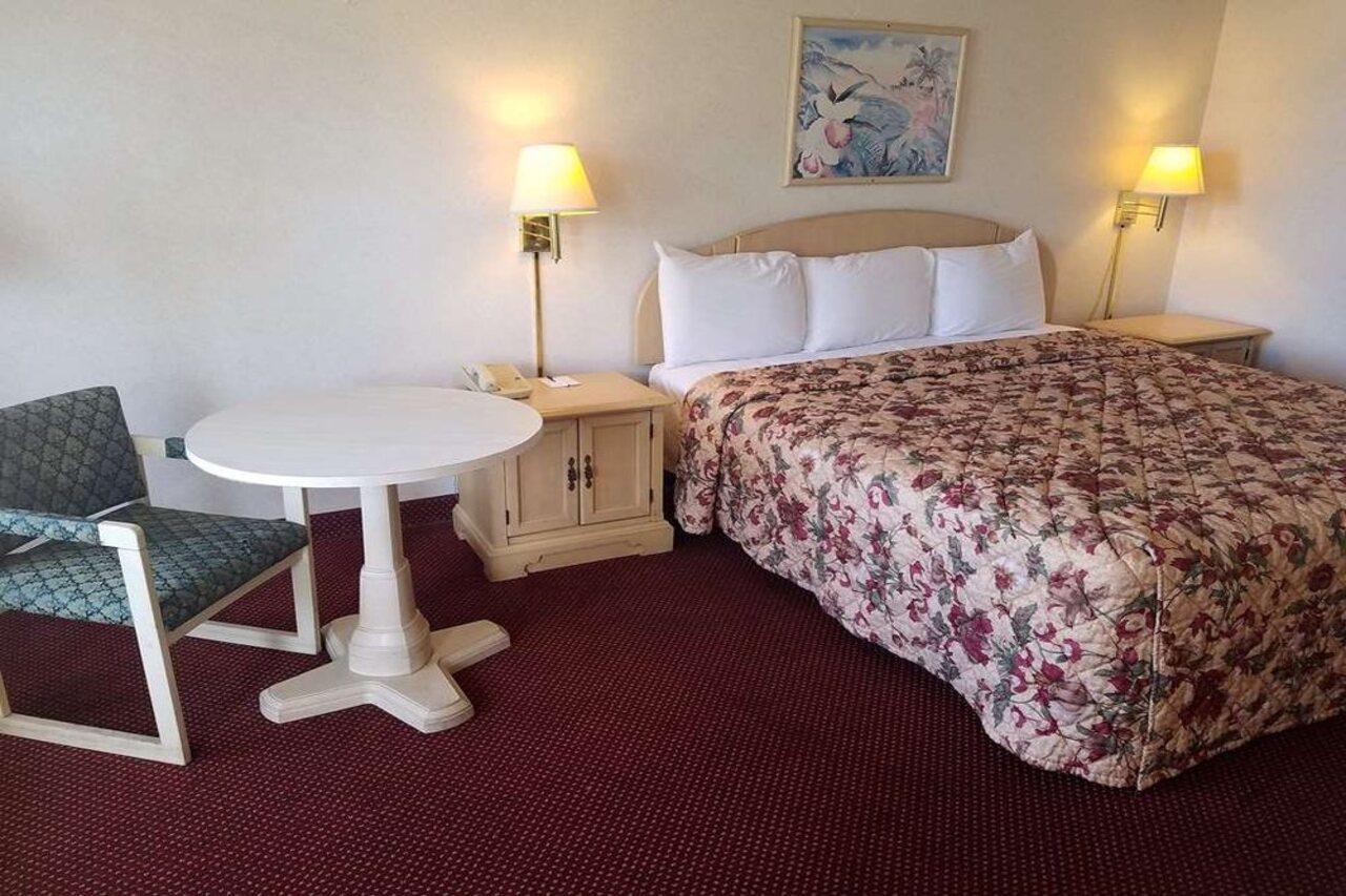 Quality Inn Saint Petersburg North-Tampa Bay Kültér fotó