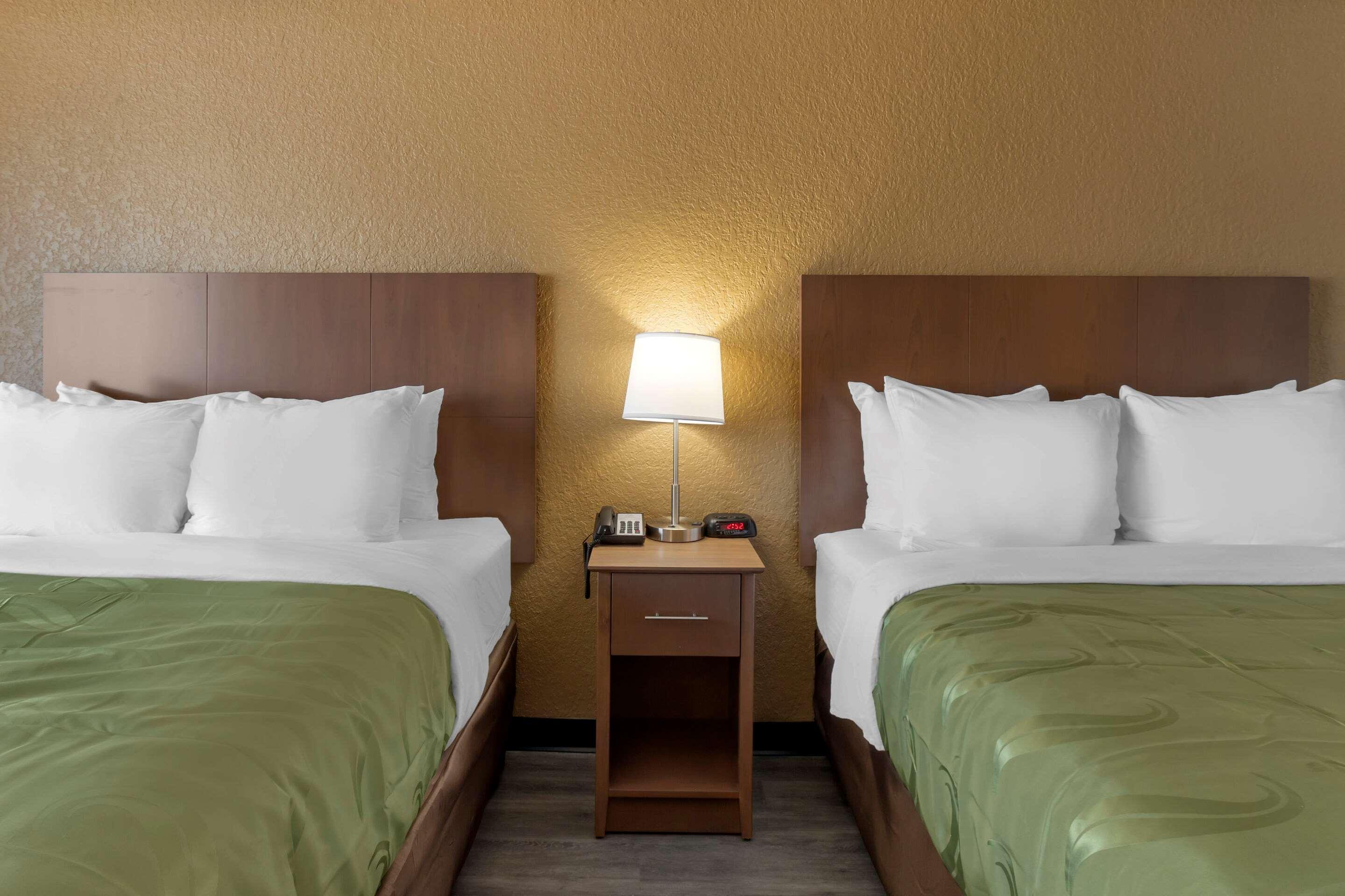 Quality Inn Saint Petersburg North-Tampa Bay Kültér fotó